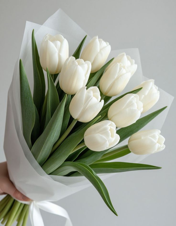 Tulipanes