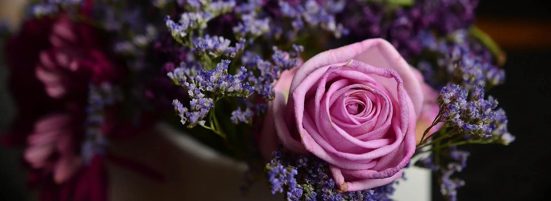 ROSAS